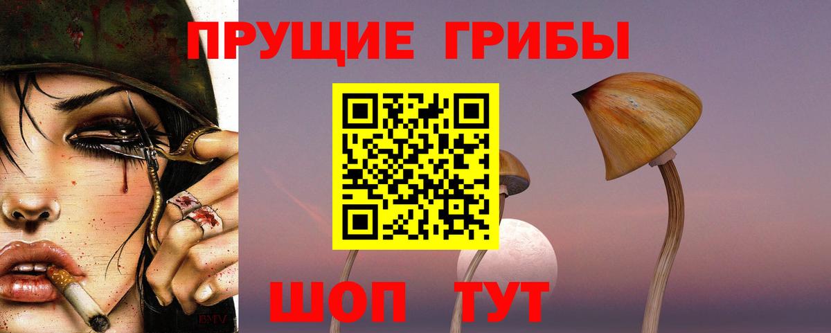 Галлюциногенные грибы Cubensis  Вход с VPN  Псилоцибиновые грибы Psilocybine cubensis  Феодосия 